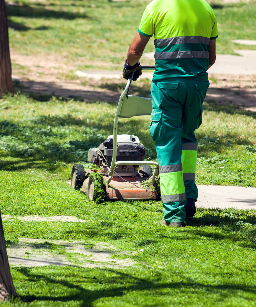 Sicil Service giardinaggio